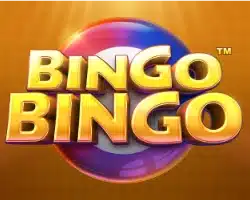 bingo bingo